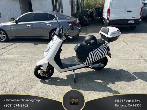 2020 Zebra E-bike Base