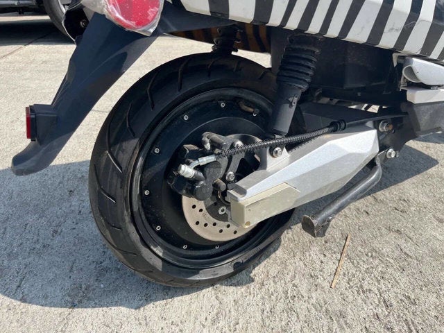 2020 Zebra E-bike Base
