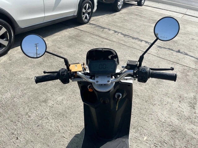 2020 Zebra E-bike Base
