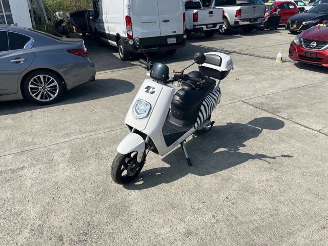 2020 Zebra E-bike Base