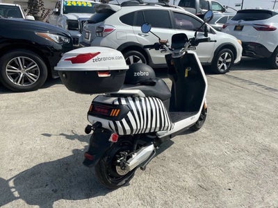 2020 Zebra E-bike Base
