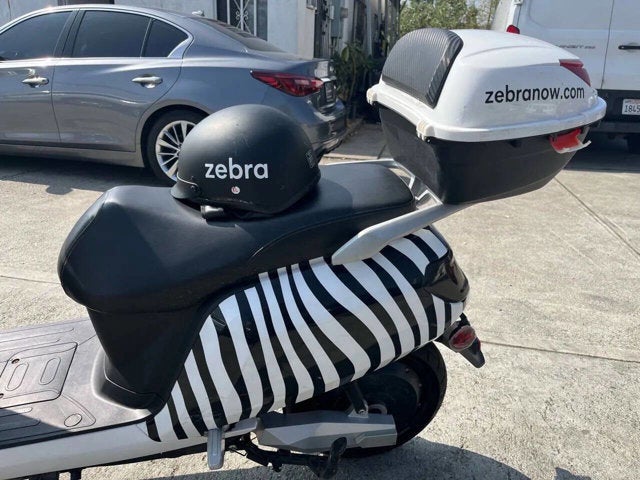 2020 Zebra E-bike Base