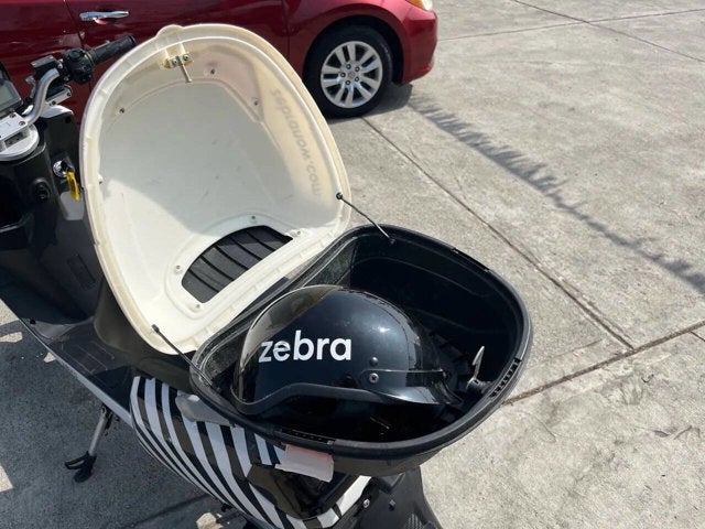 2020 Zebra E-bike Base