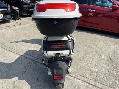 2020 Zebra E-bike Base