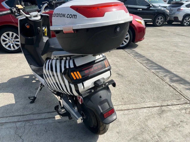 2020 Zebra E-bike Base
