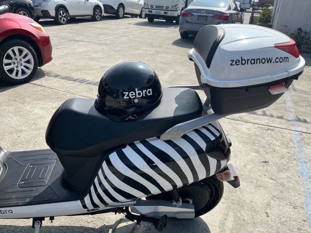 2020 Zebra E-bike Base